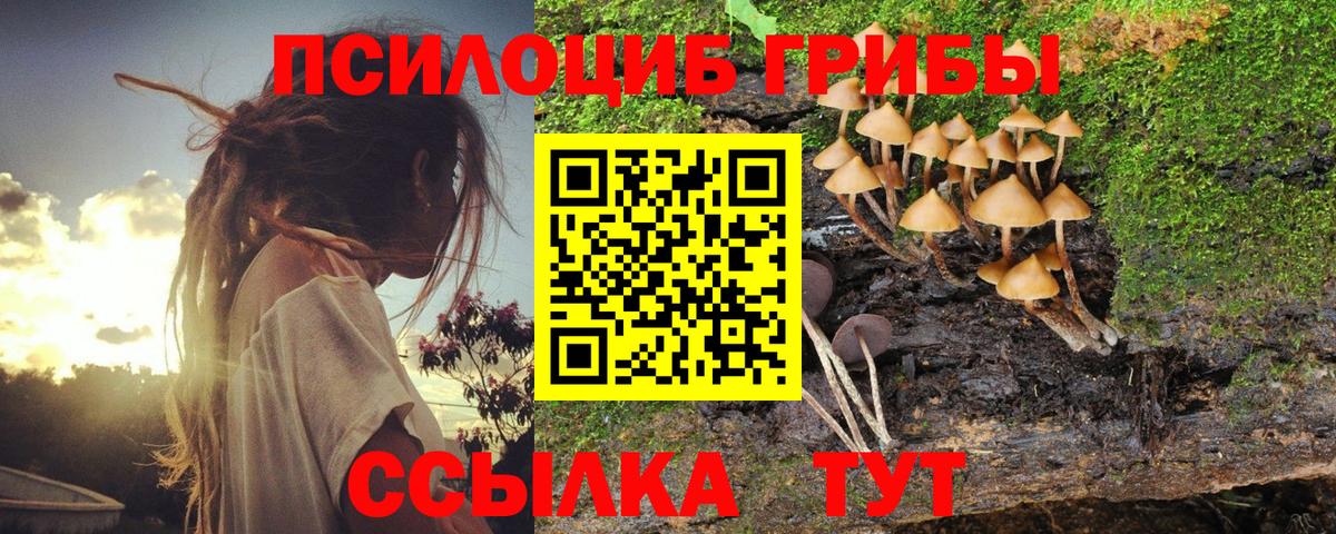 Псилоцибиновые грибы мухоморы Кропоткин